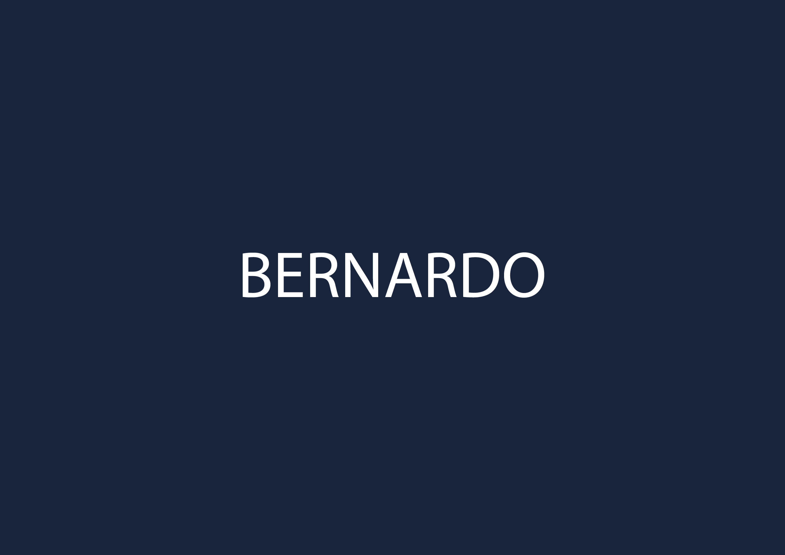 Absauganlage Bernardo